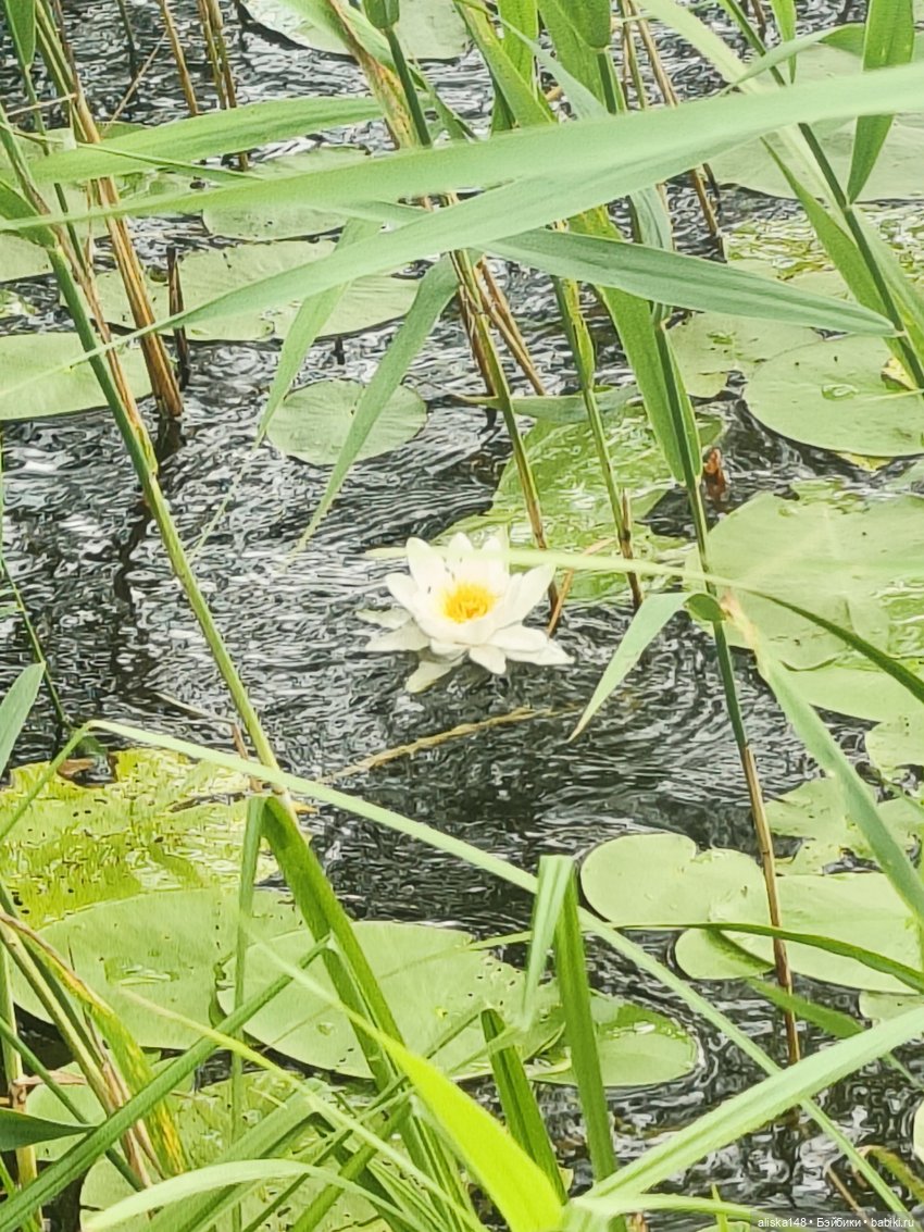 Командировочная жизнь. Часть 1