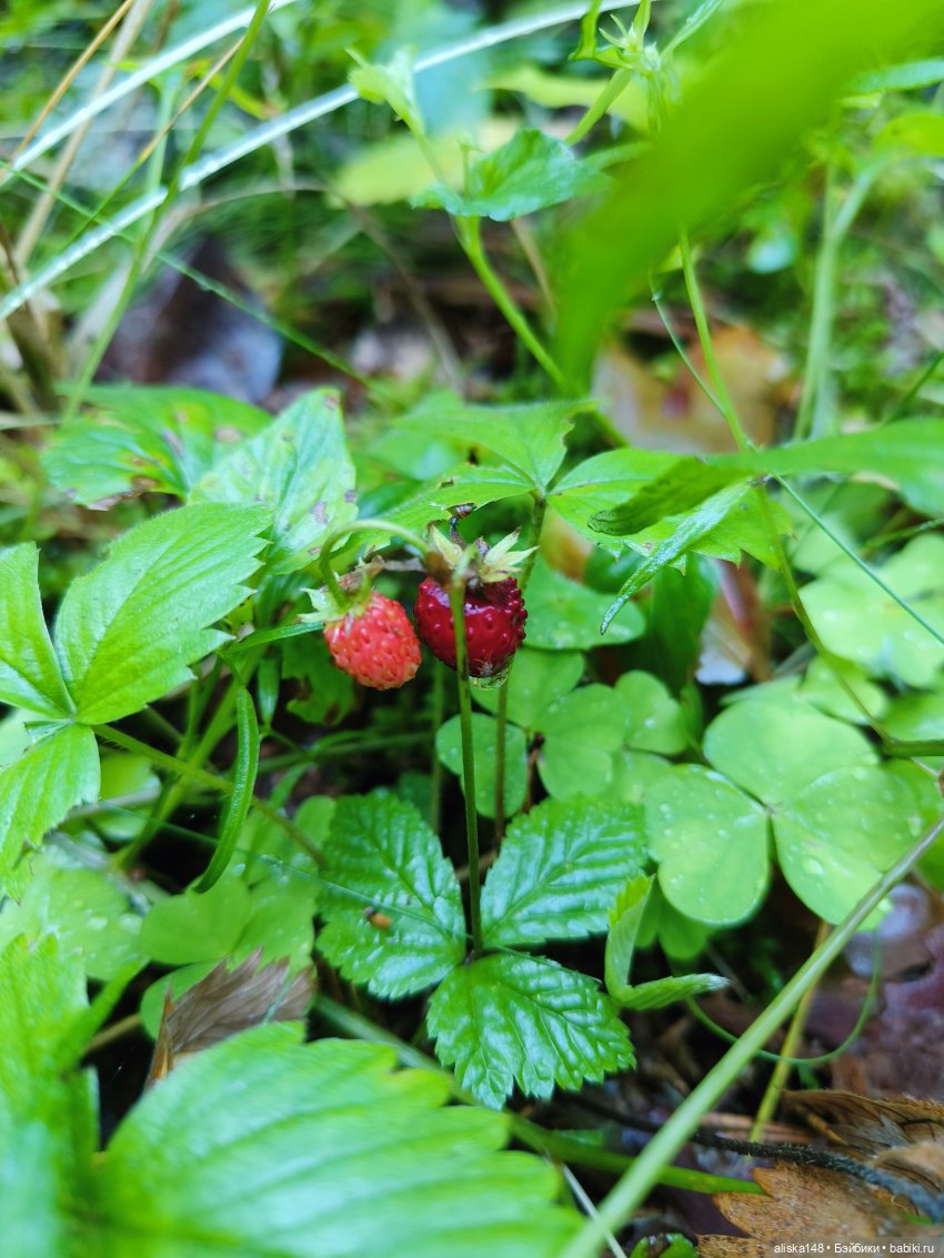 Командировочная жизнь. Часть 1