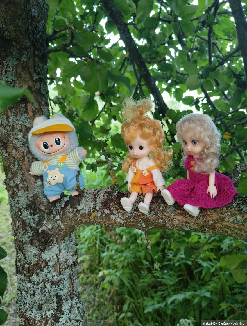 Командировочная жизнь. Часть 2 | Бэйбики Командировочная жизнь. Часть 2 (фото 5)