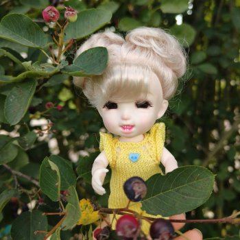 Хорошо у бабушки