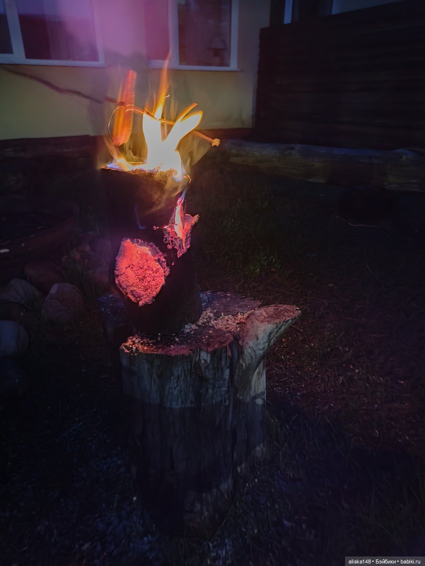 И опять кольцуем птиц — Туризм и путешествия: фотоотчеты из поездок