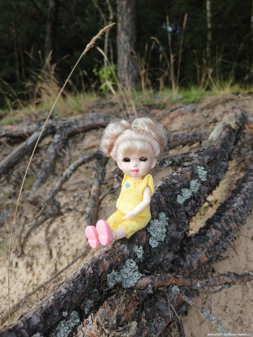 И опять кольцуем птиц — Туризм и путешествия: фотоотчеты из поездок