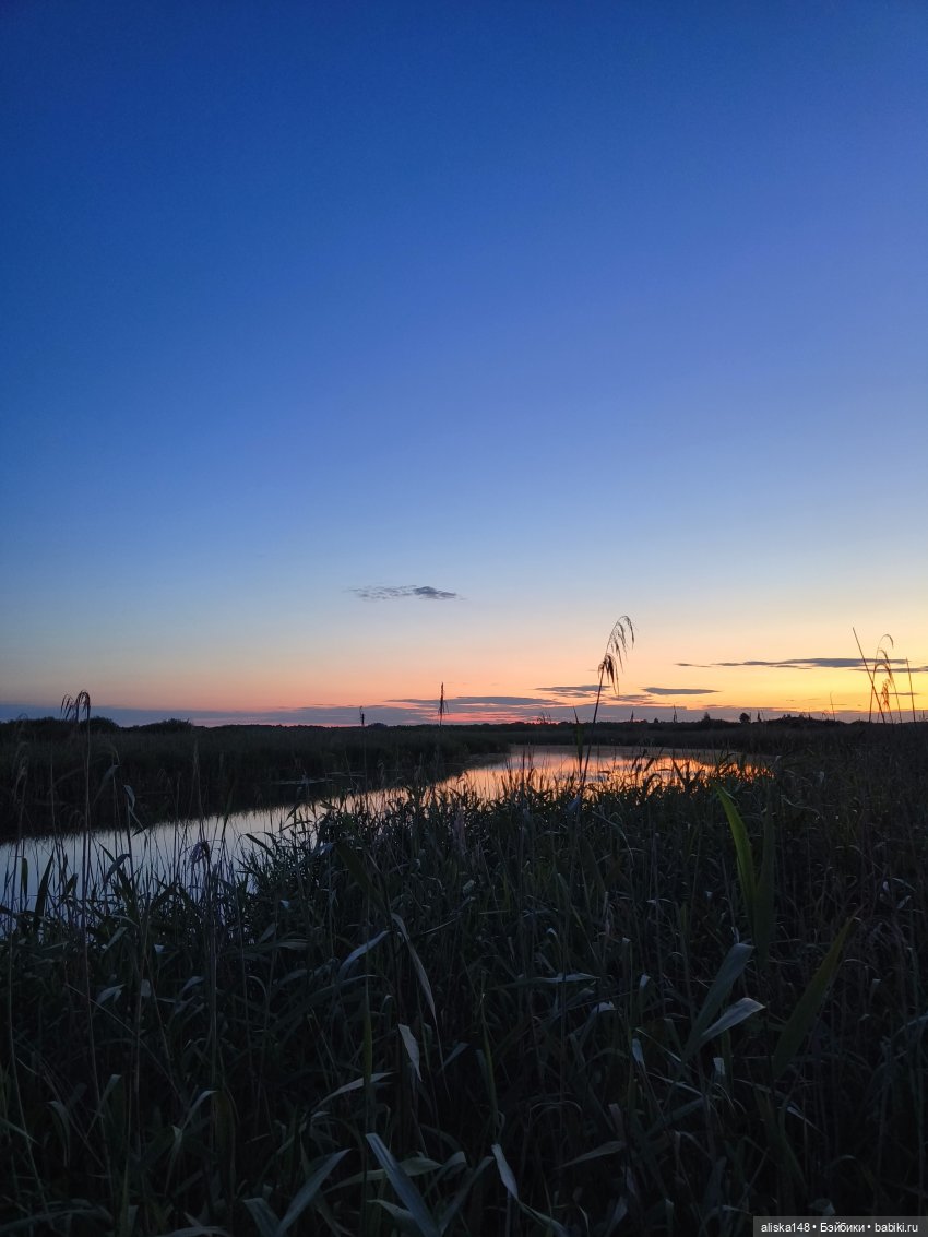 И опять кольцуем птиц — Туризм и путешествия: фотоотчеты из поездок