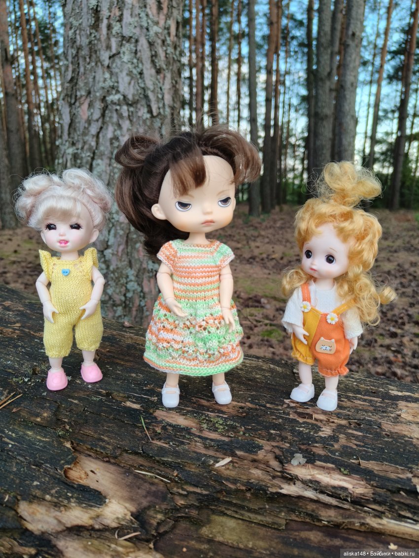 И опять кольцуем птиц — Туризм и путешествия: фотоотчеты из поездок (фото 7)