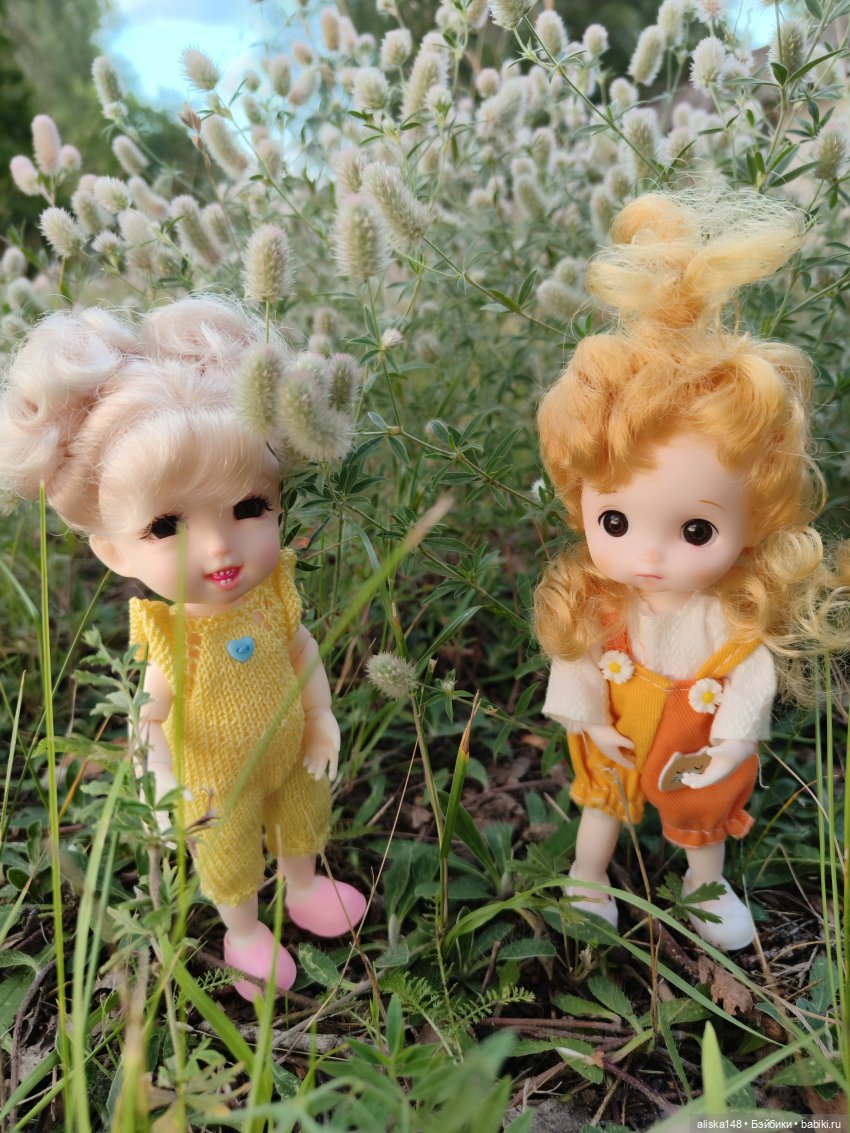 И опять кольцуем птиц — Туризм и путешествия: фотоотчеты из поездок (фото 9)