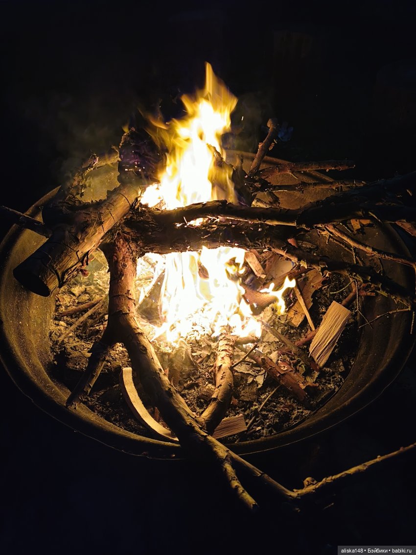 И опять кольцуем птиц — Туризм и путешествия: фотоотчеты из поездок