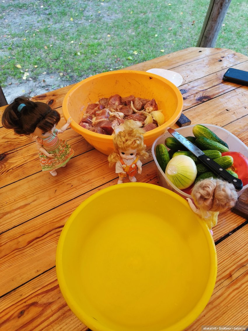 И опять кольцуем птиц — Туризм и путешествия: фотоотчеты из поездок