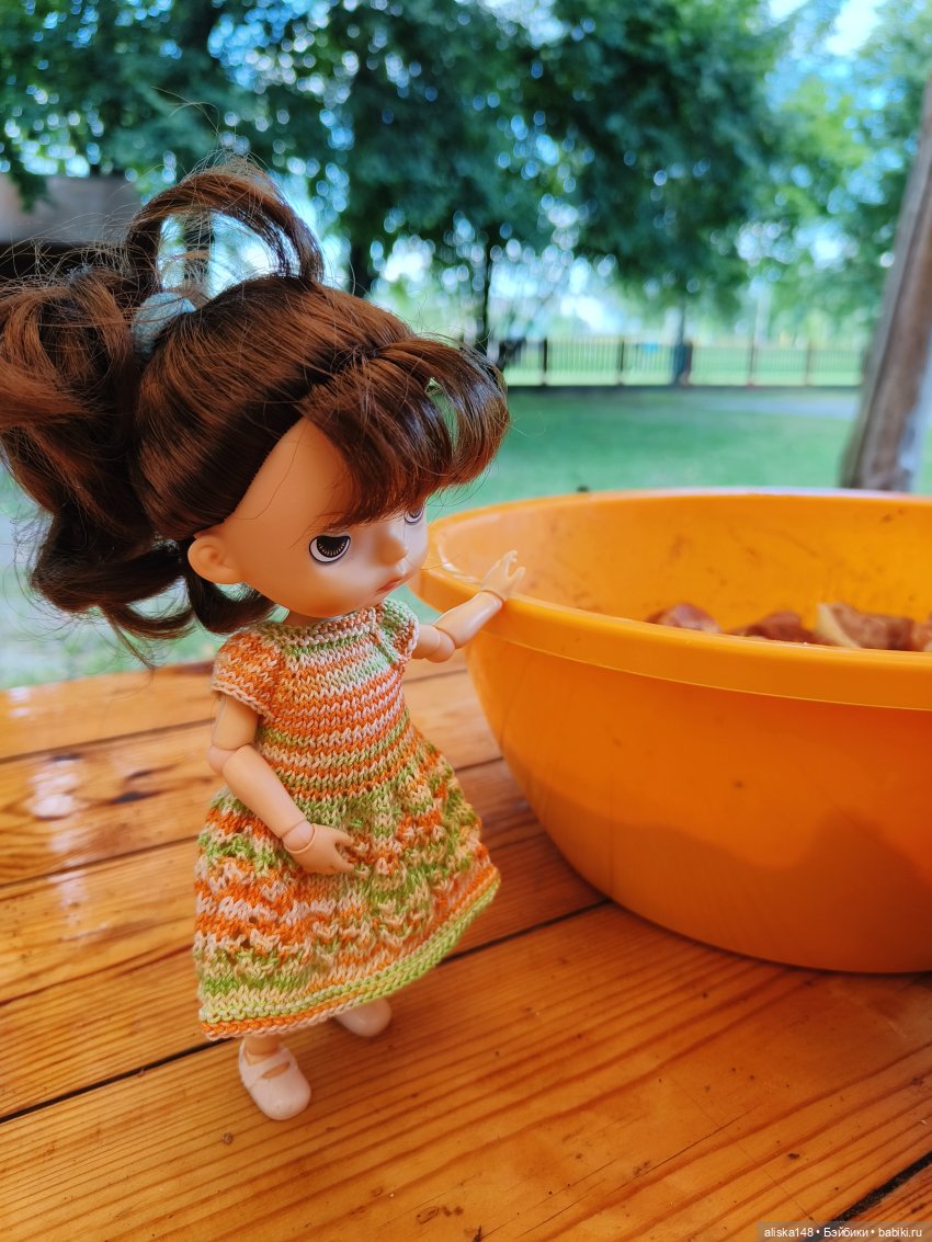 И опять кольцуем птиц — Туризм и путешествия: фотоотчеты из поездок