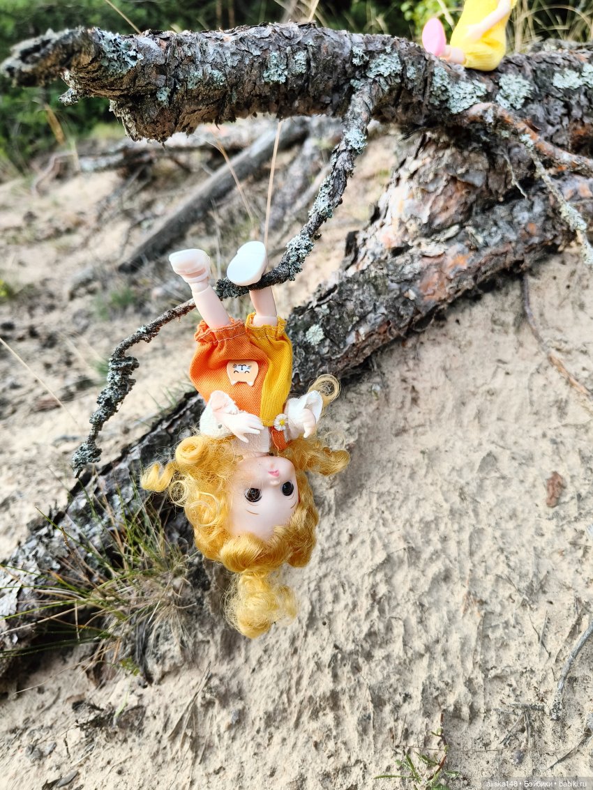 И опять кольцуем птиц — Туризм и путешествия: фотоотчеты из поездок