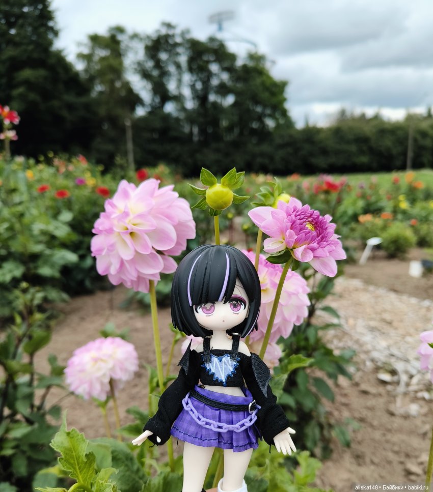 Цветочное изобилие — Разные шарнирные куклы (не БЖД): редкие (фото 5)