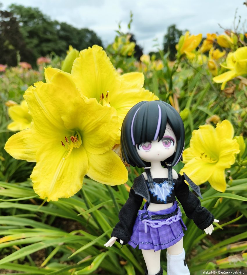 Цветочное изобилие — Разные шарнирные куклы (не БЖД): редкие