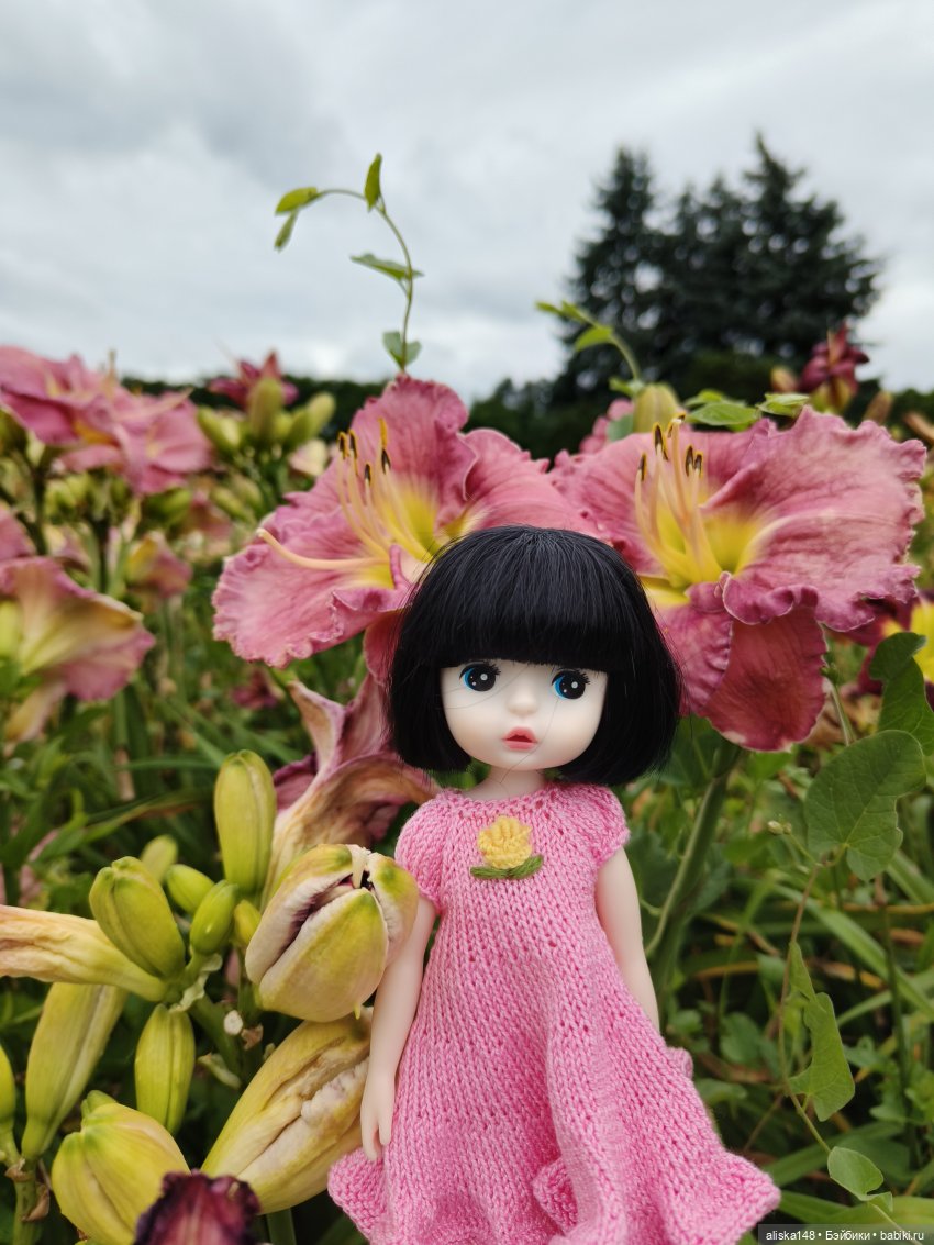Цветочное изобилие — Разные шарнирные куклы (не БЖД): редкие