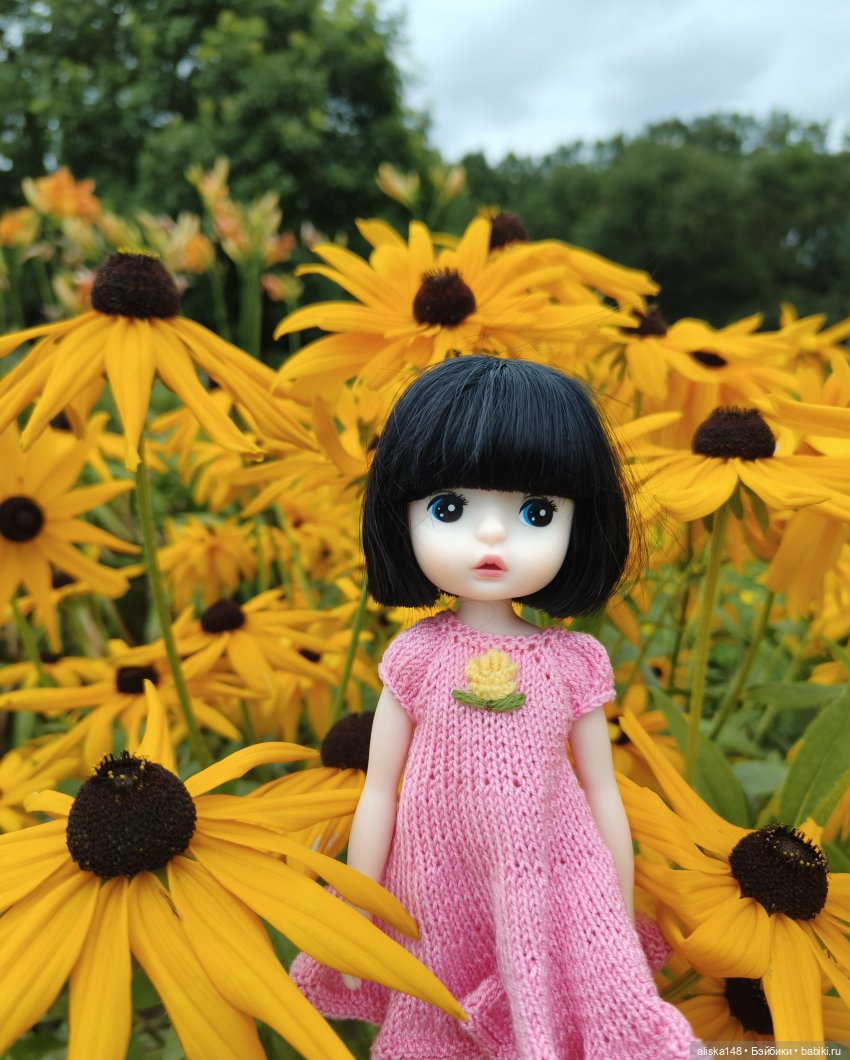 Цветочное изобилие — Разные шарнирные куклы (не БЖД): редкие