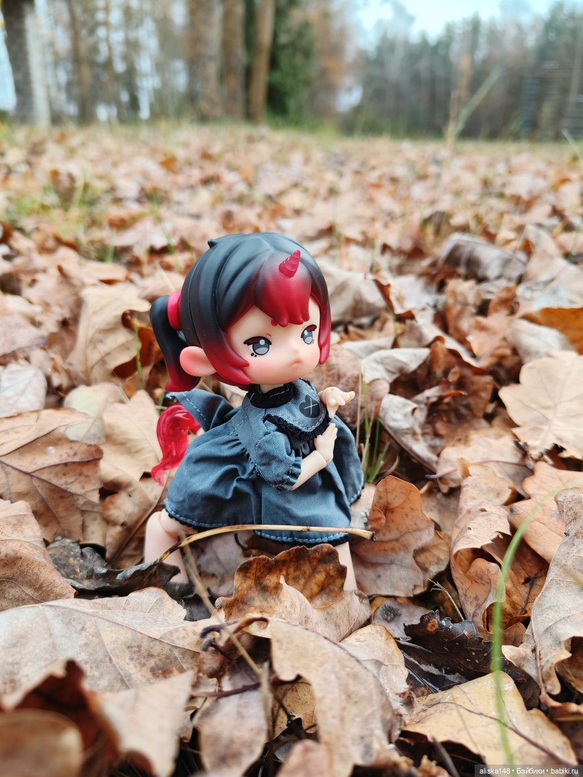 Ловим сов — Туризм и путешествия: фотоотчеты из поездок (фото 6)