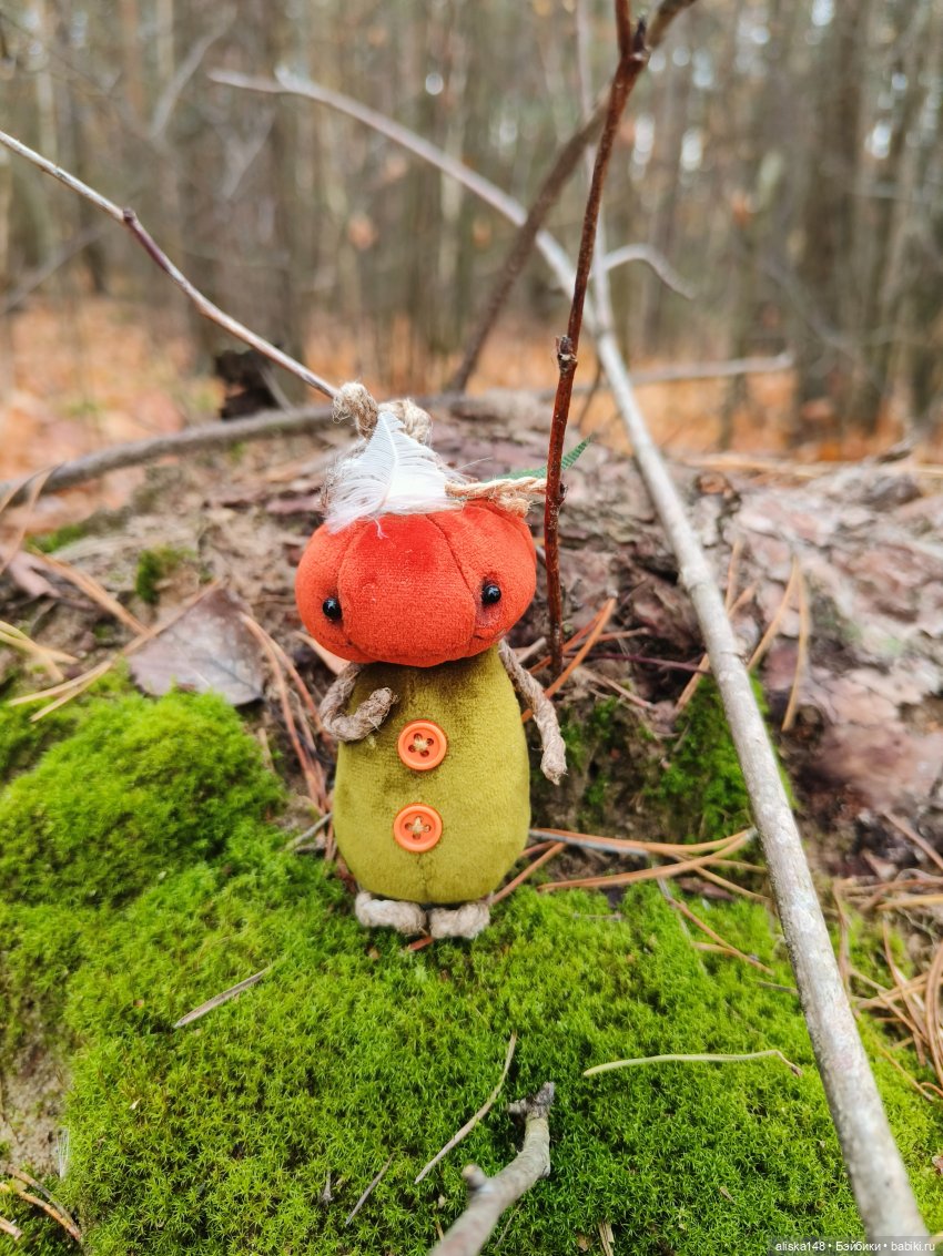 Ловим сов — Туризм и путешествия: фотоотчеты из поездок