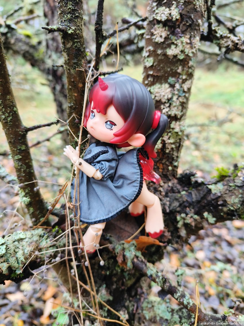 Ловим сов — Туризм и путешествия: фотоотчеты из поездок