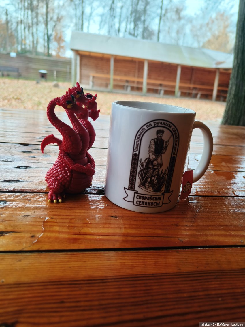 Ловим сов — Туризм и путешествия: фотоотчеты из поездок