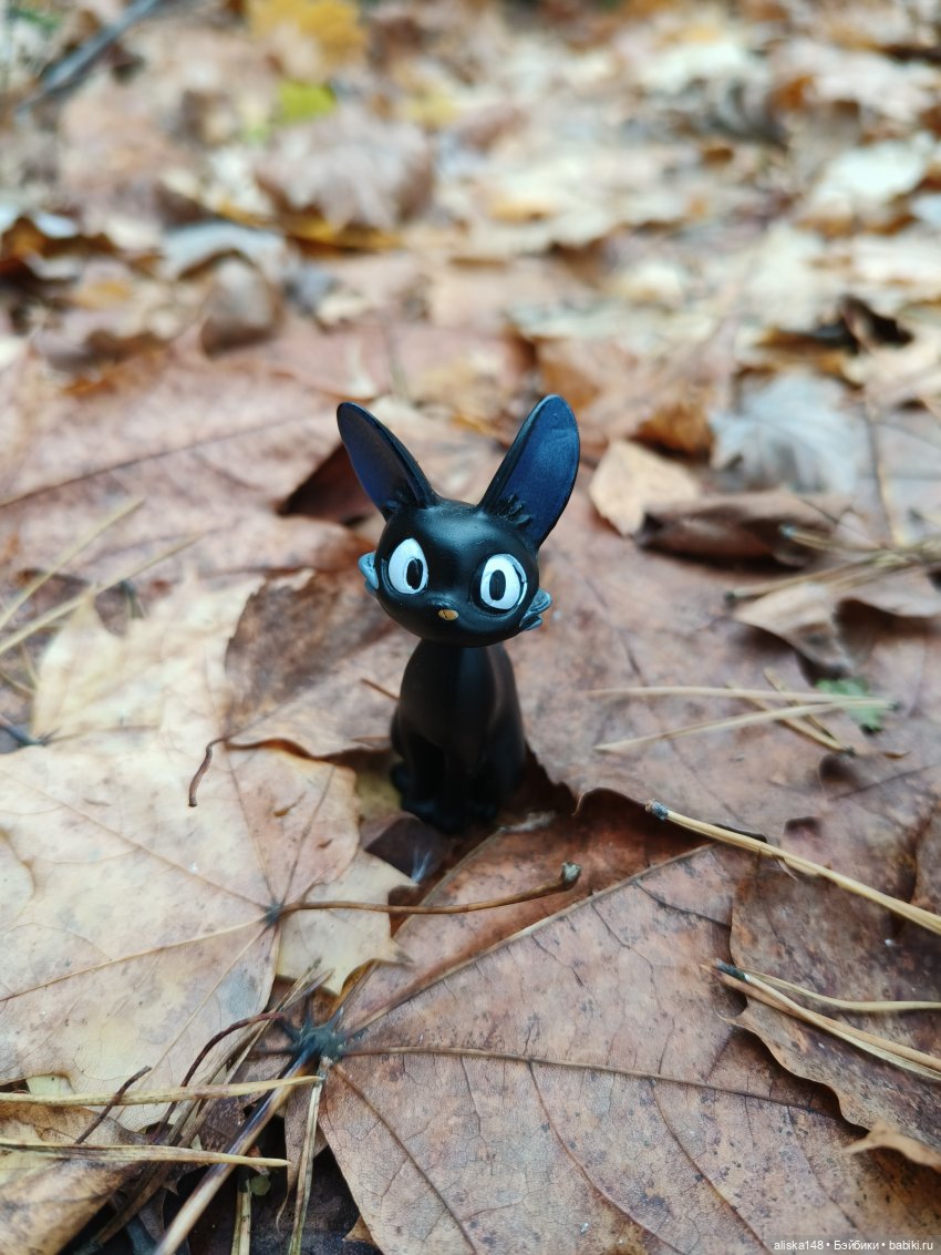 Ловим сов — Туризм и путешествия: фотоотчеты из поездок