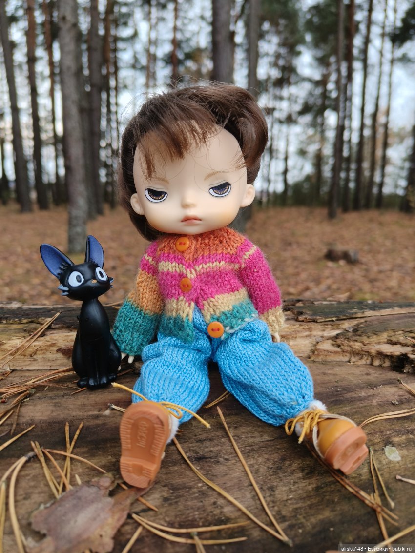 Ловим сов — Туризм и путешествия: фотоотчеты из поездок