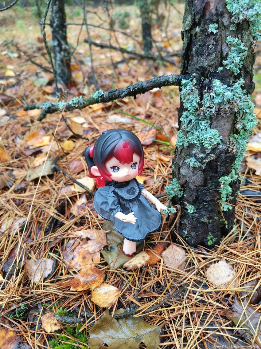 Ловим сов — Туризм и путешествия: фотоотчеты из поездок