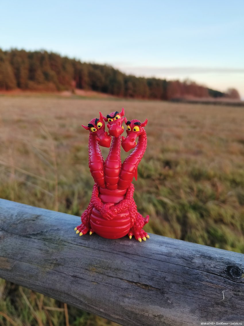 Ловим сов — Туризм и путешествия: фотоотчеты из поездок