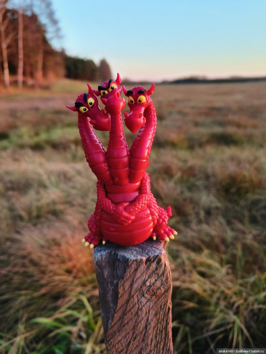 Ловим сов — Туризм и путешествия: фотоотчеты из поездок