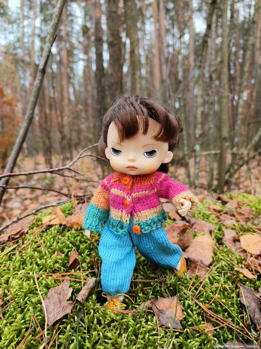 Ловим сов — Туризм и путешествия: фотоотчеты из поездок