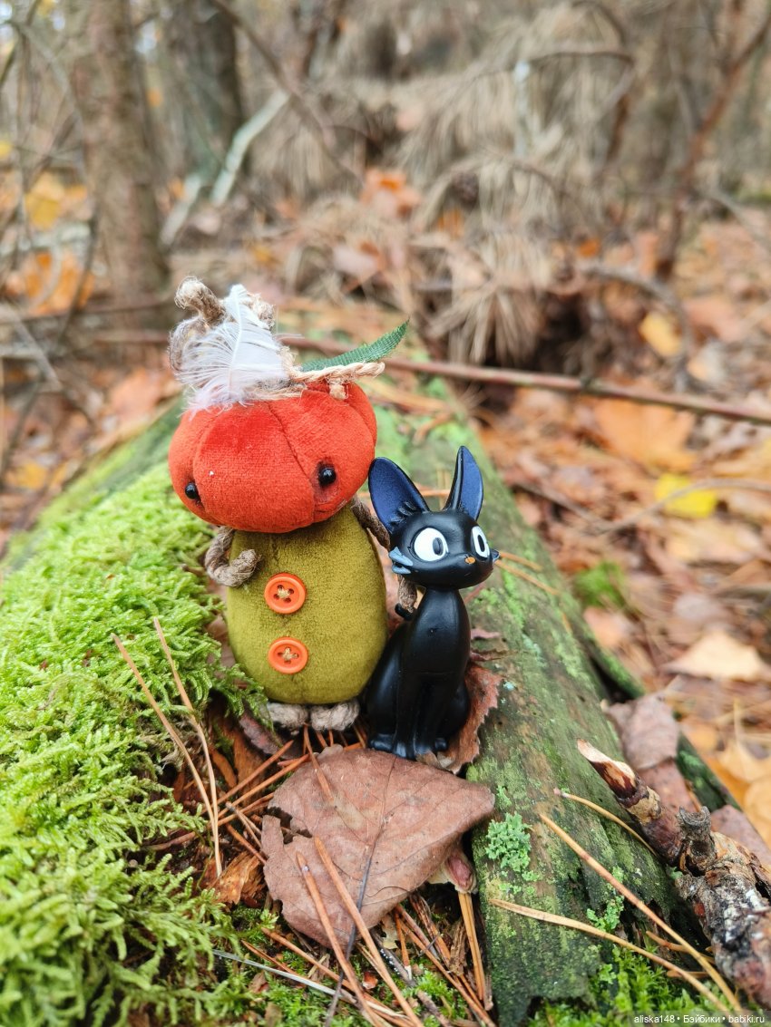 Ловим сов — Туризм и путешествия: фотоотчеты из поездок