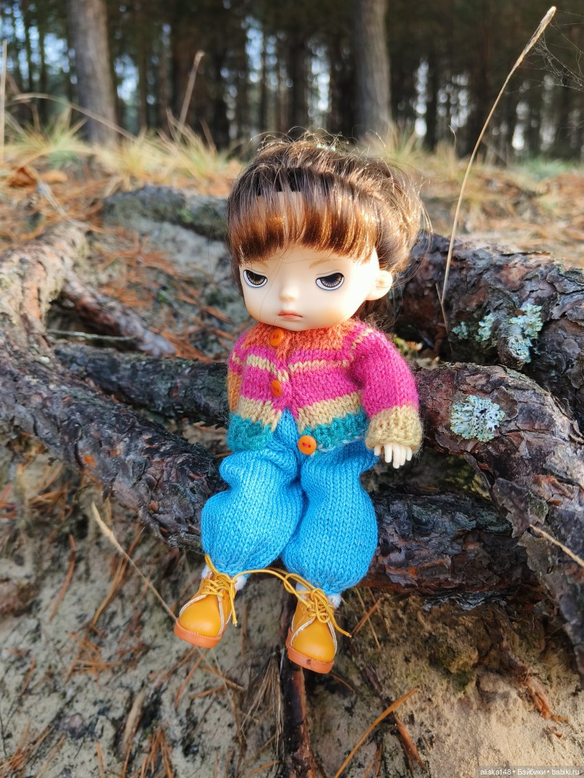 Ловим сов — Туризм и путешествия: фотоотчеты из поездок