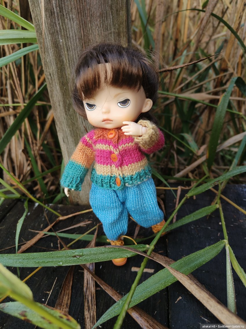 Ловим сов — Туризм и путешествия: фотоотчеты из поездок