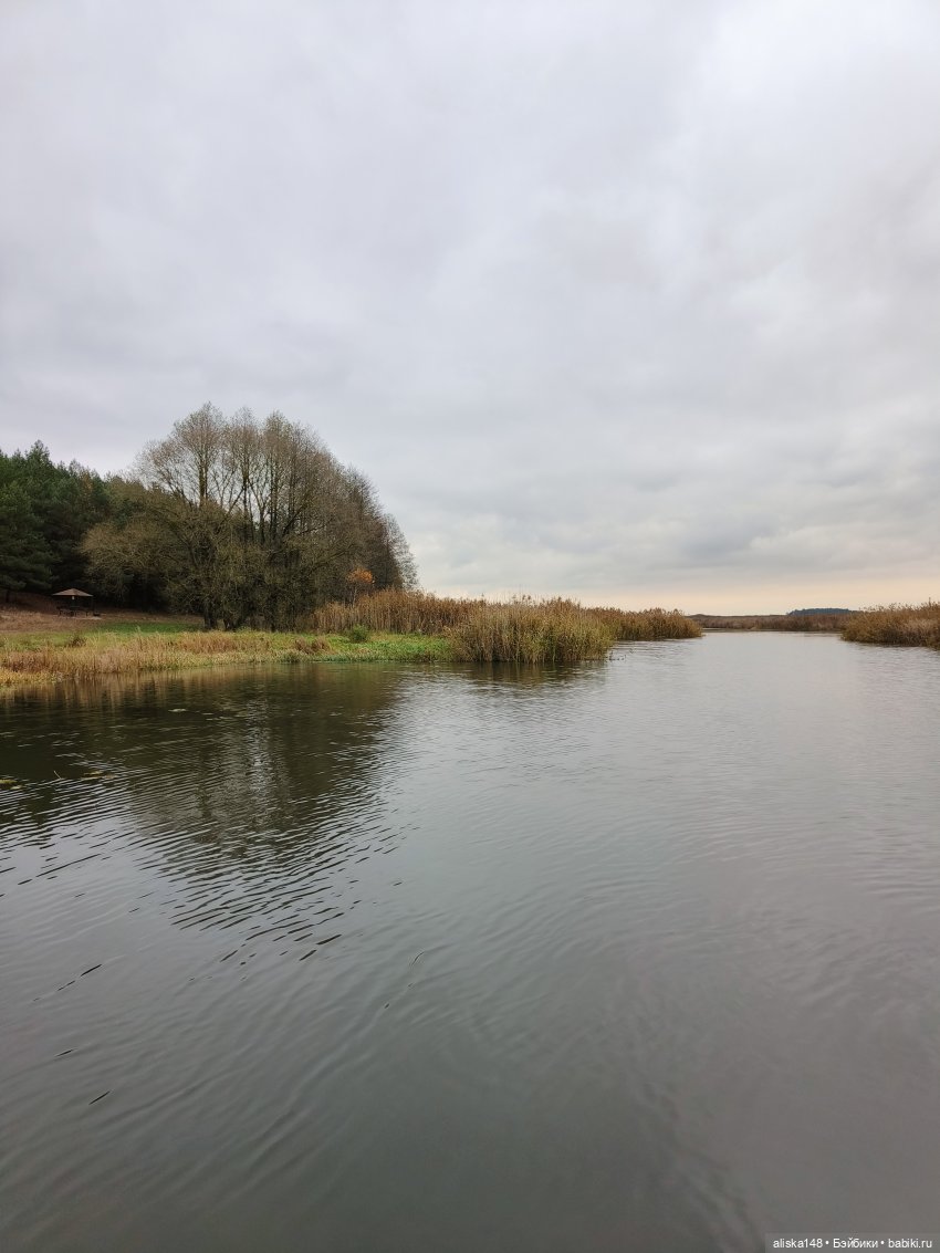 Ловим сов — Туризм и путешествия: фотоотчеты из поездок