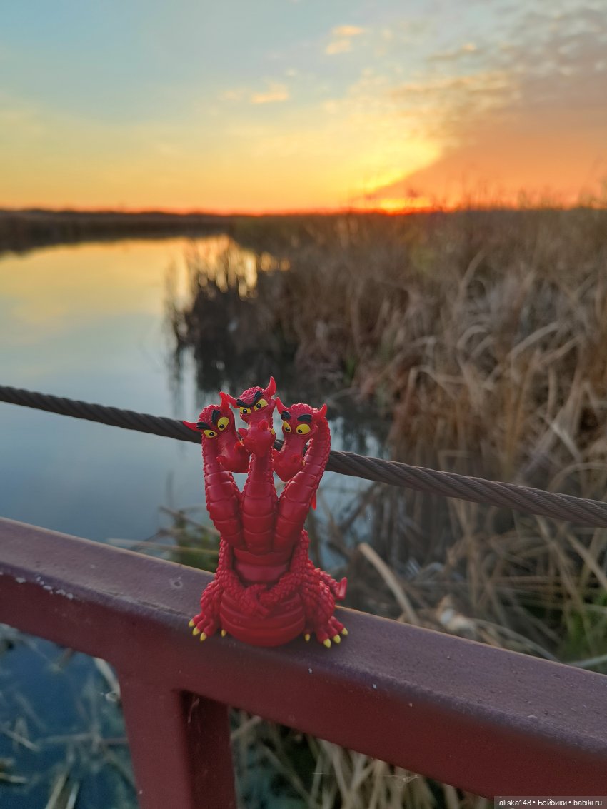 Ловим сов — Туризм и путешествия: фотоотчеты из поездок