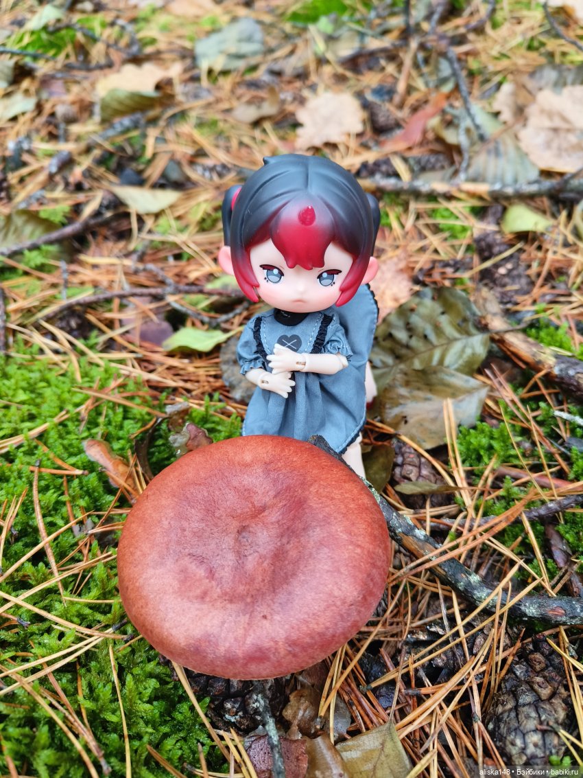 Ловим сов — Туризм и путешествия: фотоотчеты из поездок