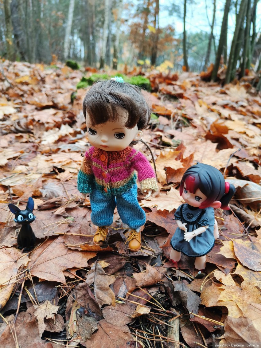 Ловим сов — Туризм и путешествия: фотоотчеты из поездок