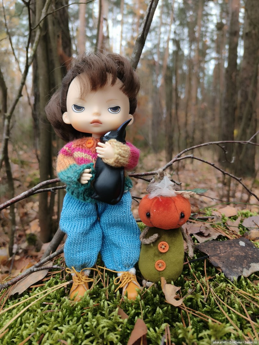 Ловим сов — Туризм и путешествия: фотоотчеты из поездок