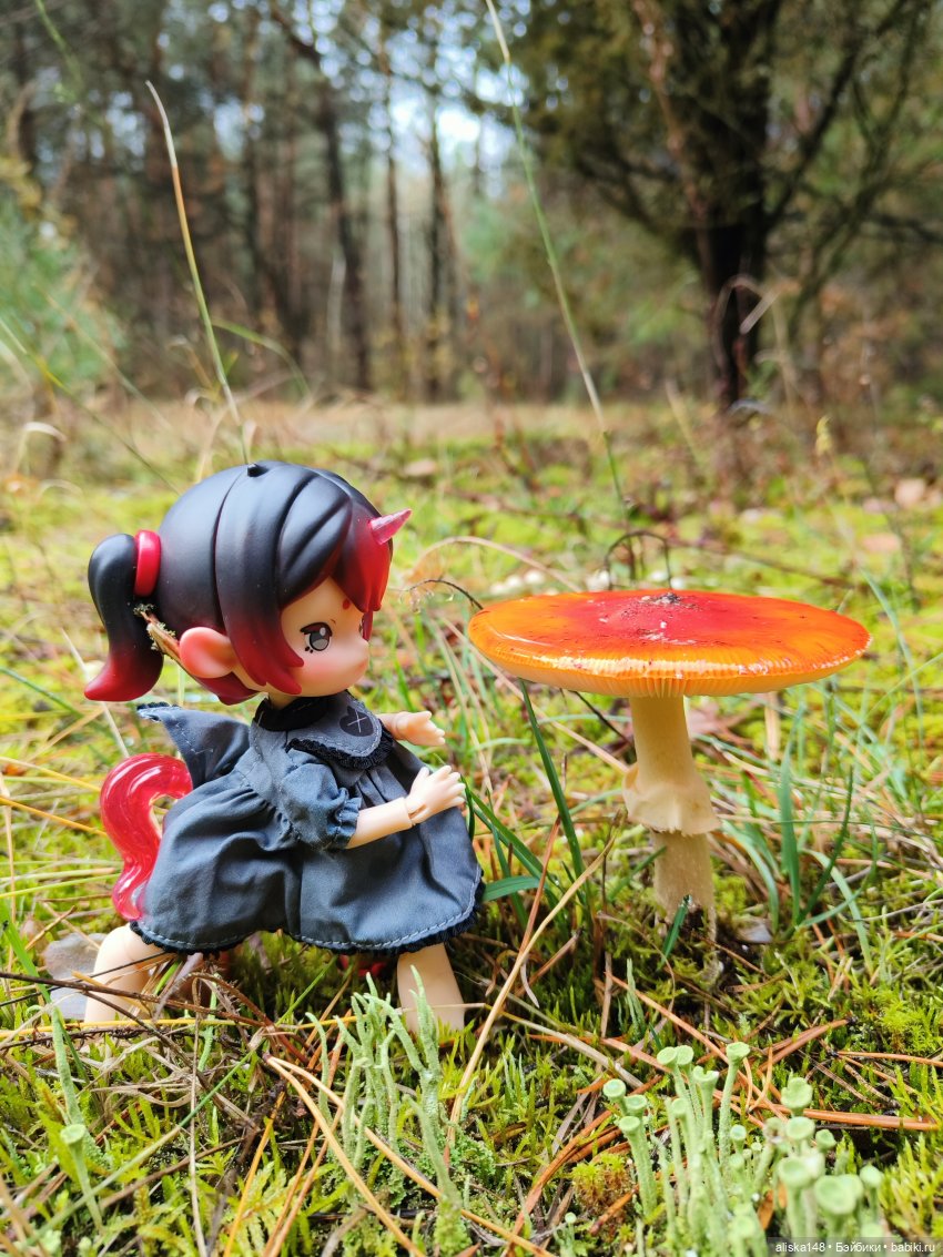 Ловим сов — Туризм и путешествия: фотоотчеты из поездок