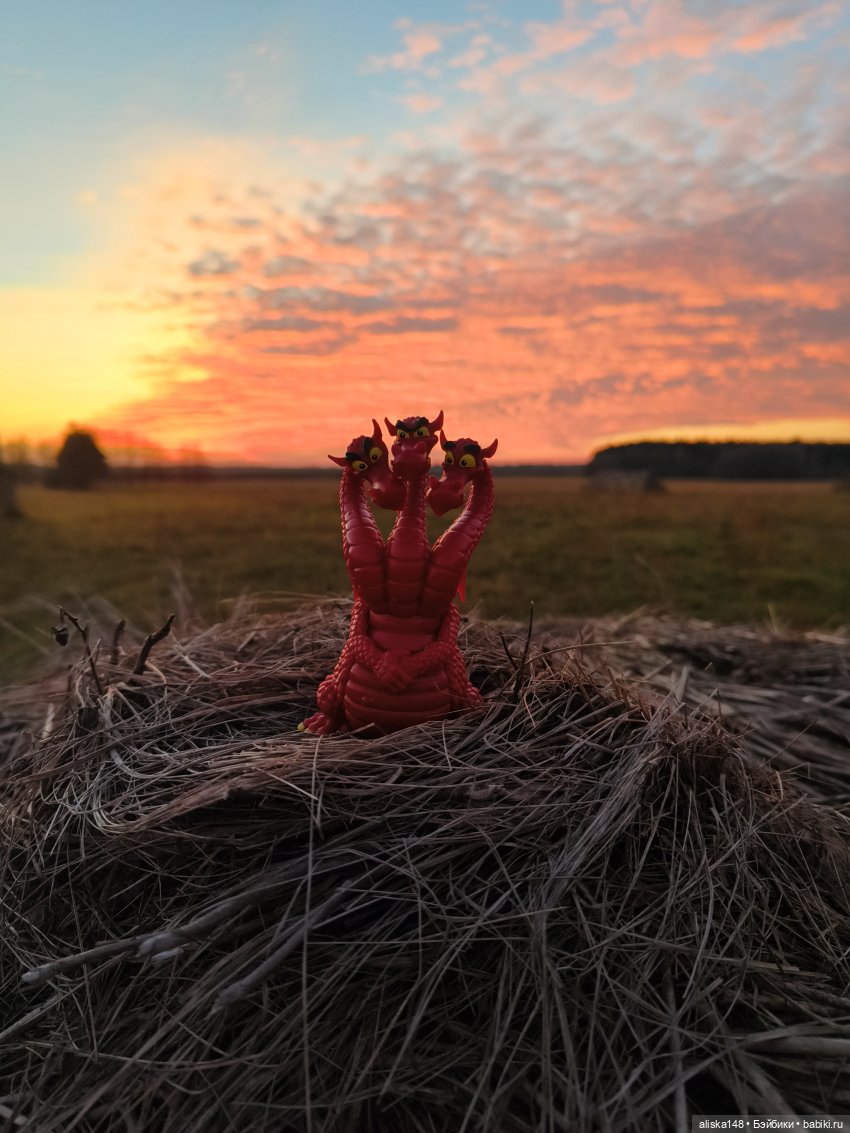 Ловим сов — Туризм и путешествия: фотоотчеты из поездок