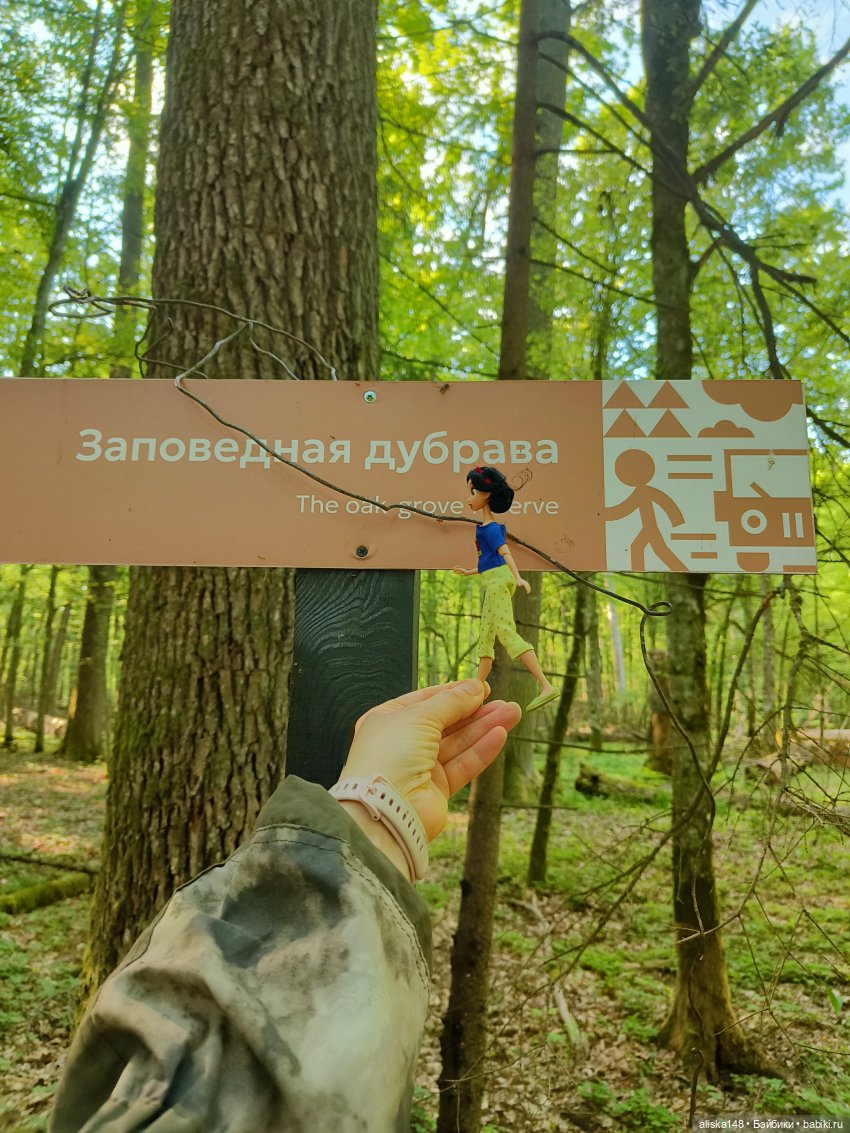 Внезапная встреча | Бэйбики Внезапная встреча — Туризм и путешествия: фотоотчеты из поездок (фото 3)