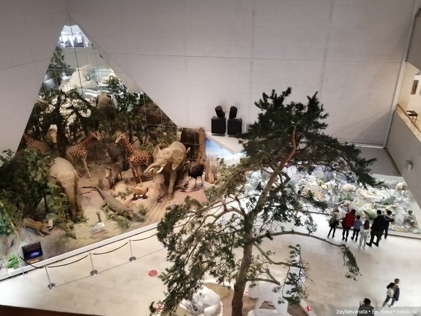 Москва... как много в этом звуке