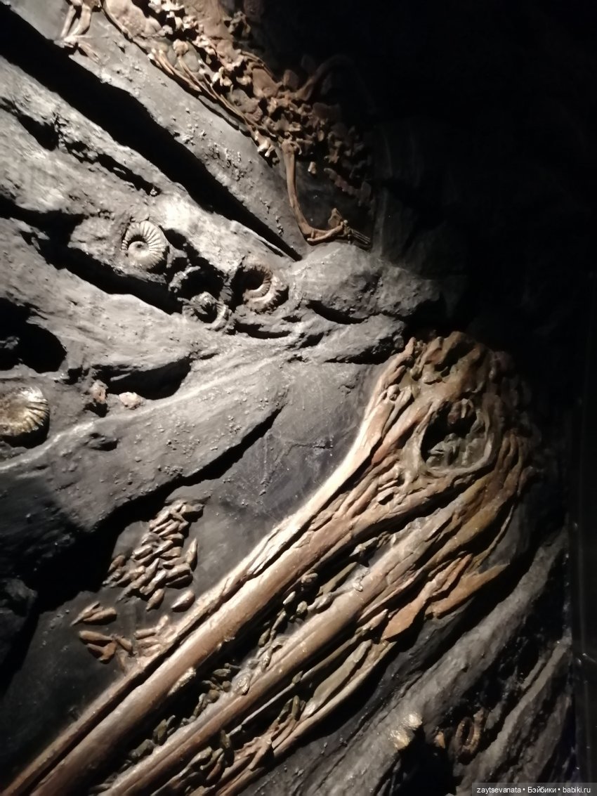 Москва... как много в этом звуке