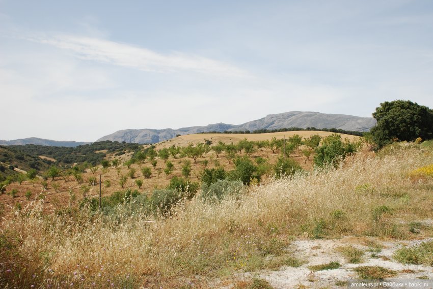 Spanish Barbie (1991). Барби из Испании I Распаковка