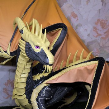 Дракон Ной'Манн