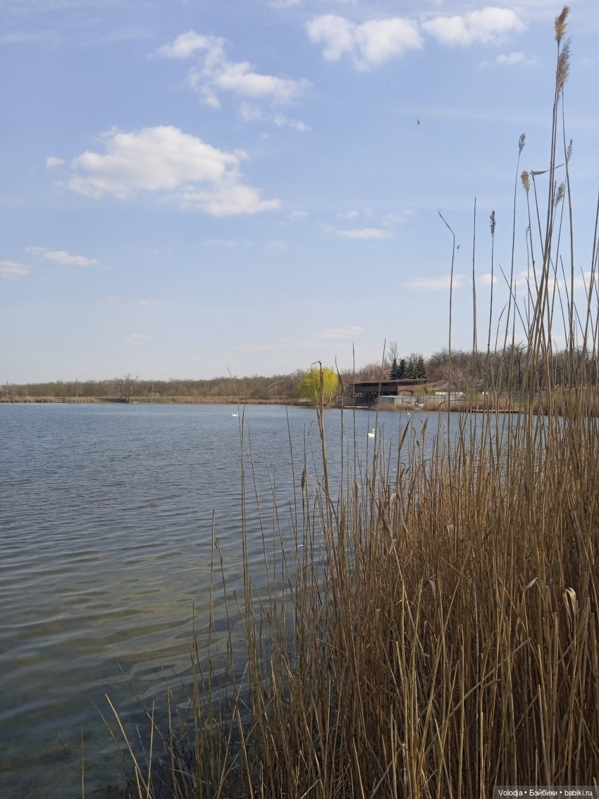 Прогулка — Интересные игрушки и фигурки (разное): редкие (фото 4)