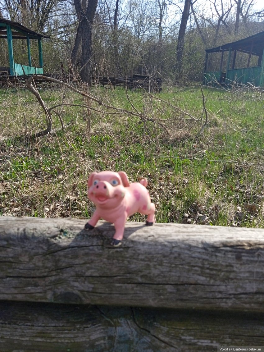 Прогулка — Интересные игрушки и фигурки (разное): редкие (фото 2)