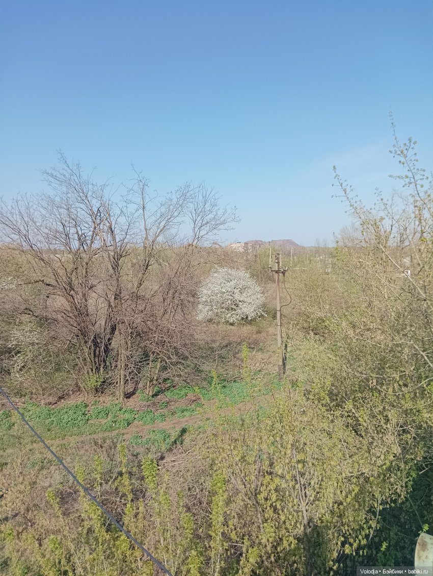 Вылазка — Интересные игрушки и фигурки (разное): редкие (фото 2)