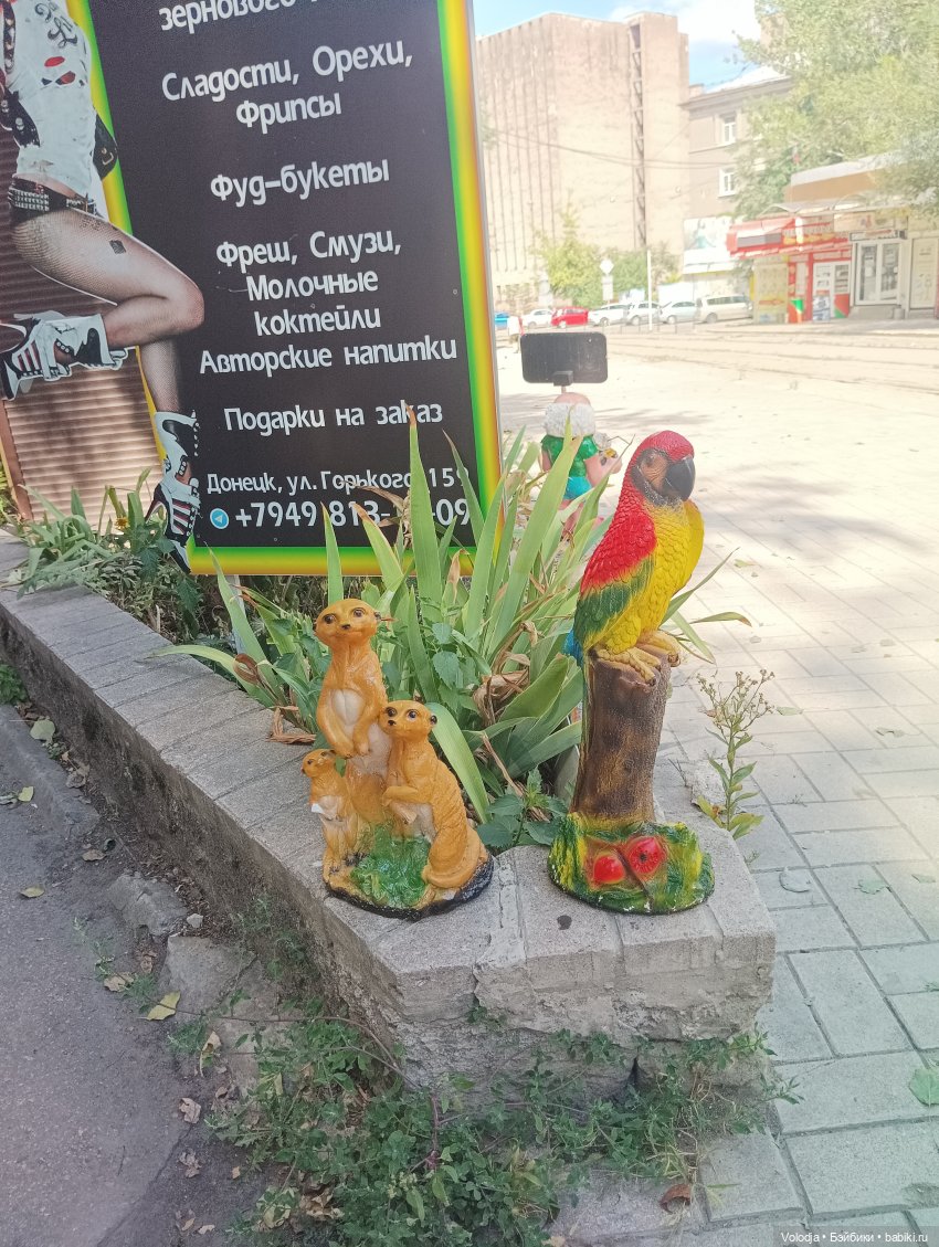 Променад — Игровые куклы разных производителей (Разное): редкие бренды