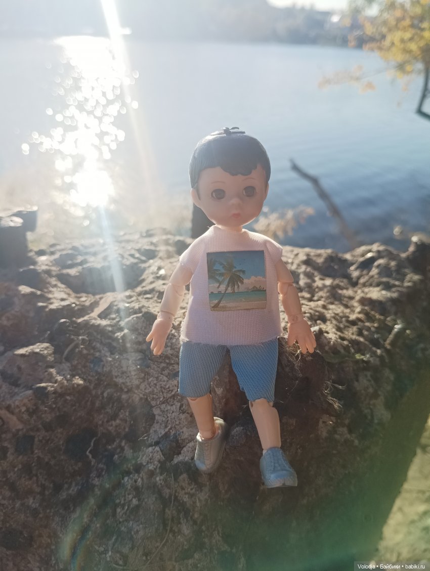 По дороге домой — Игровые куклы разных производителей (Разное): редкие бренды