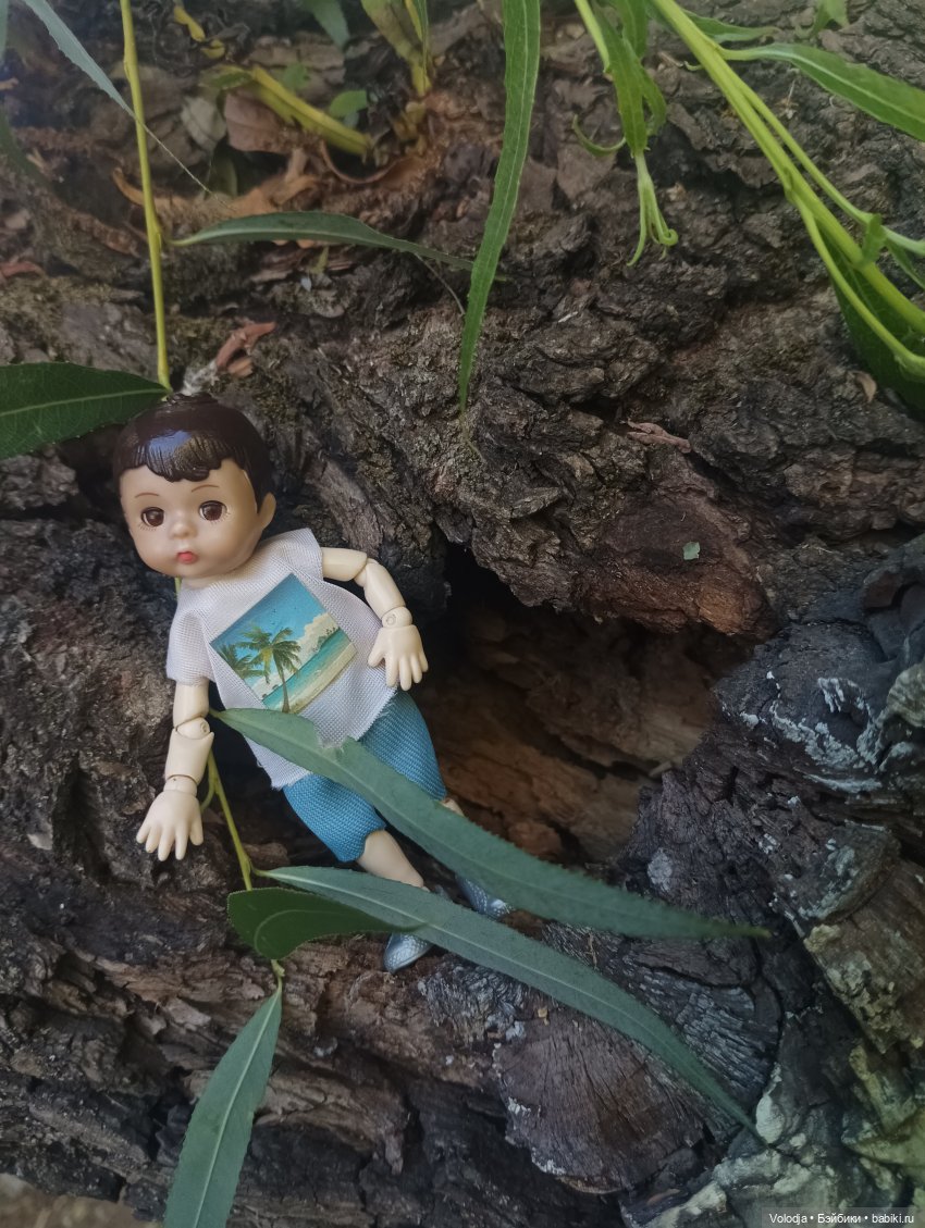 По дороге домой — Игровые куклы разных производителей (Разное): редкие бренды (фото 10)