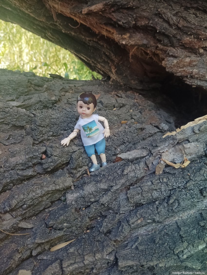 По дороге домой — Игровые куклы разных производителей (Разное): редкие бренды (фото 9)
