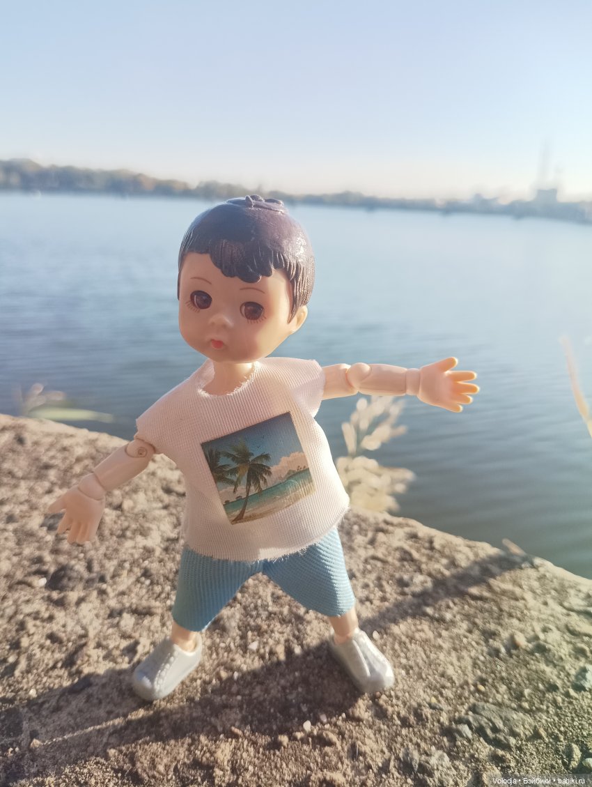 По дороге домой — Игровые куклы разных производителей (Разное): редкие бренды